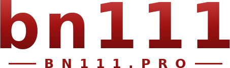 bn111 logo